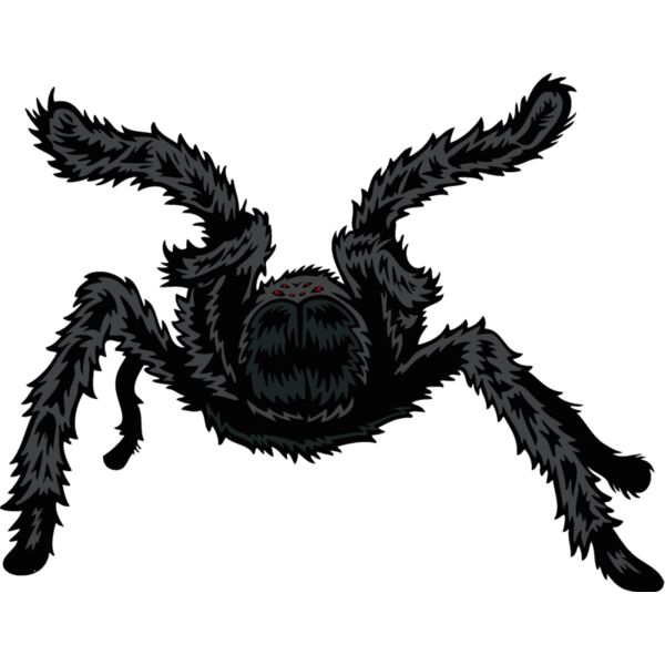 esspider005clr Thumbnail