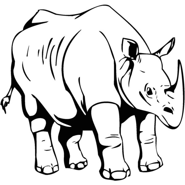 rhino Thumbnail