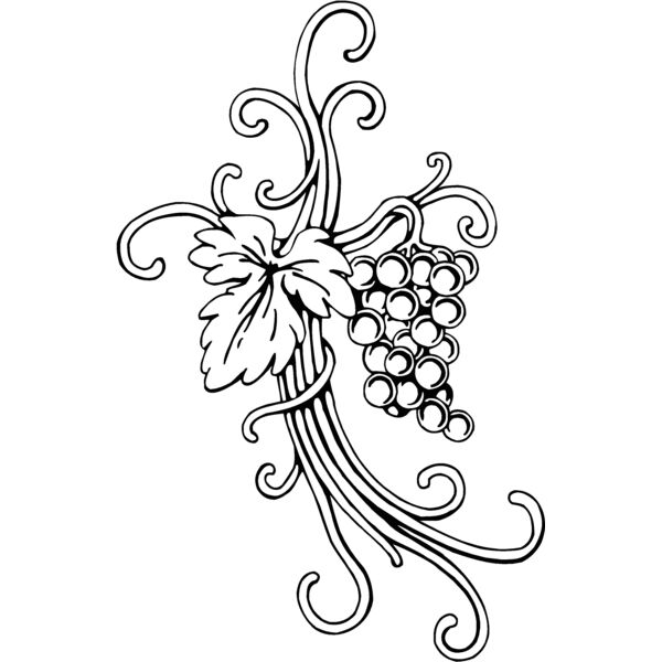 vineandgrape Thumbnail