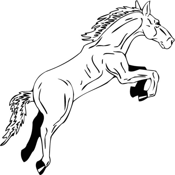 horse2 Thumbnail