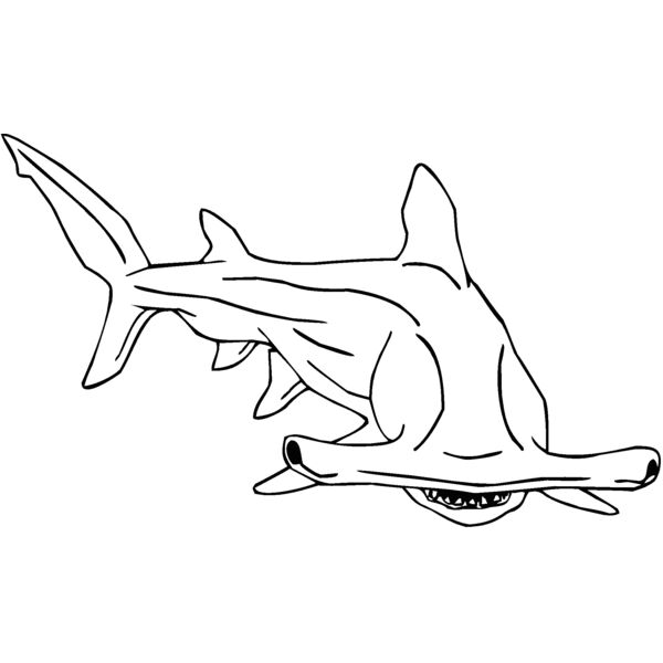 hammerhead Thumbnail