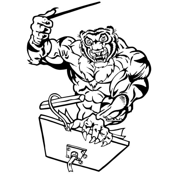 tigermusic Thumbnail