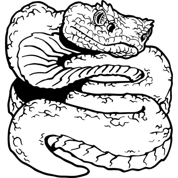 cooperheadsnake Thumbnail