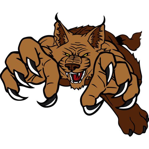 wildcatbc7 Thumbnail