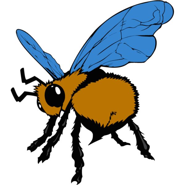 bee05v4clr Thumbnail