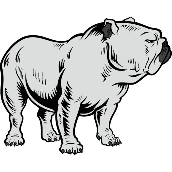 bulldog18v4clr Thumbnail