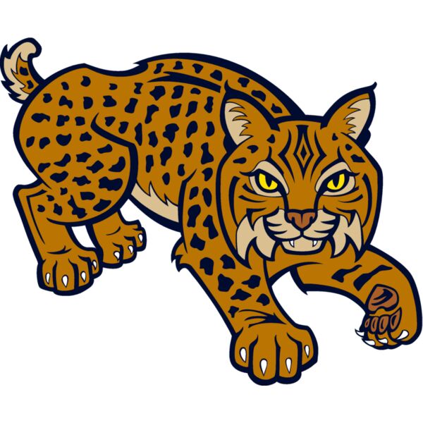 wildcat10v4clr Thumbnail