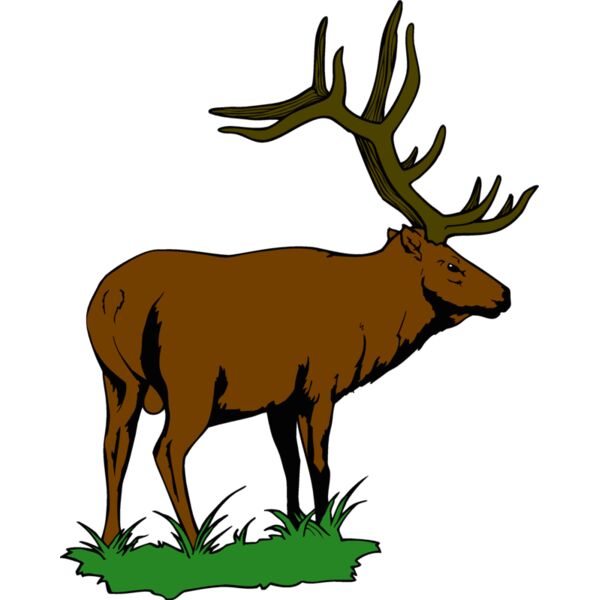 elk 2 Thumbnail